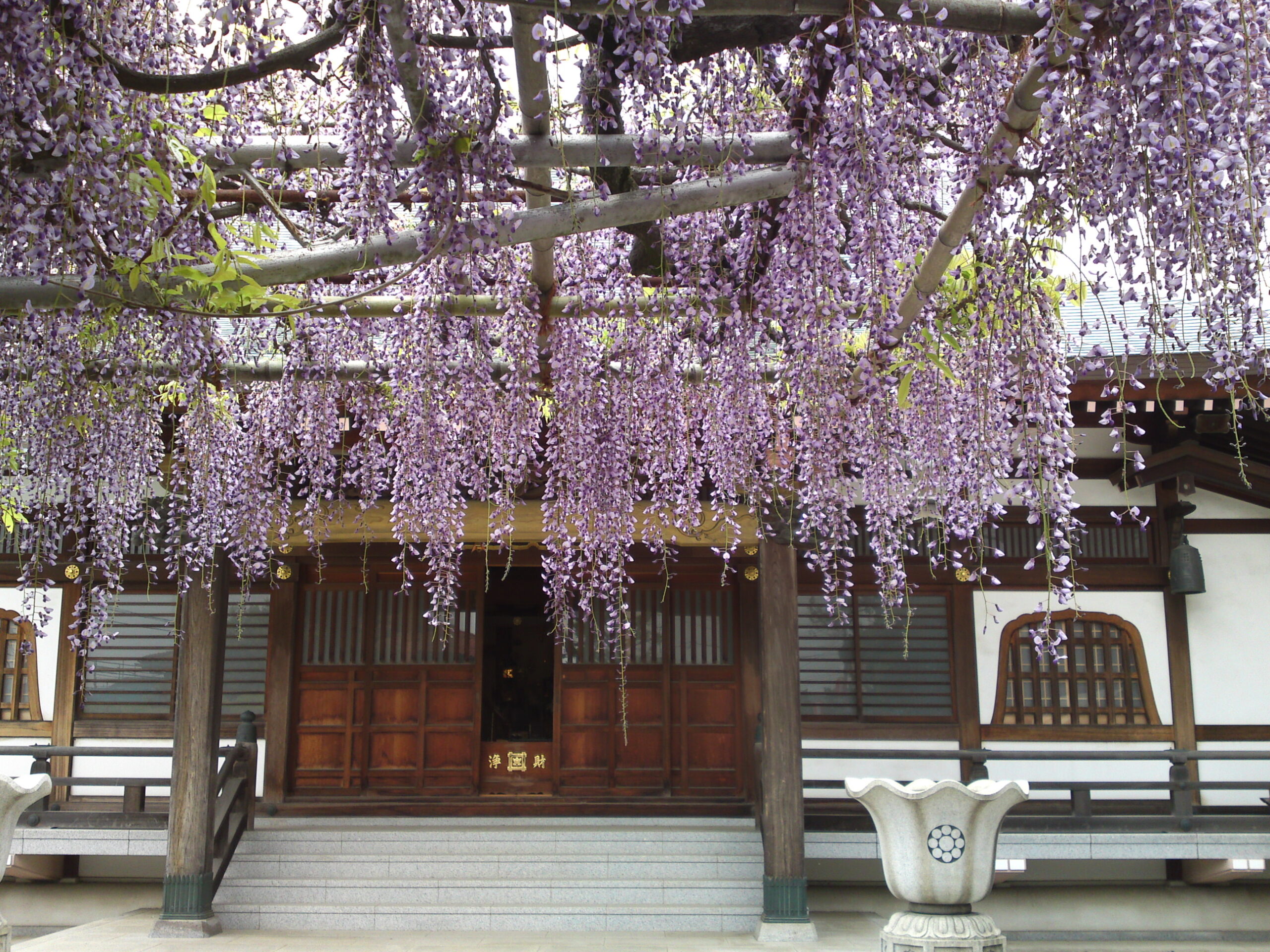 高円寺