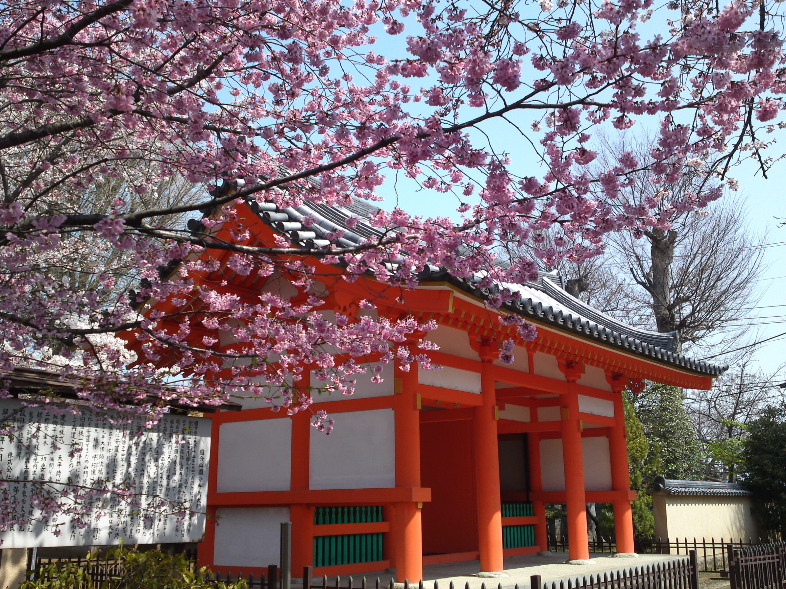 下総国分寺