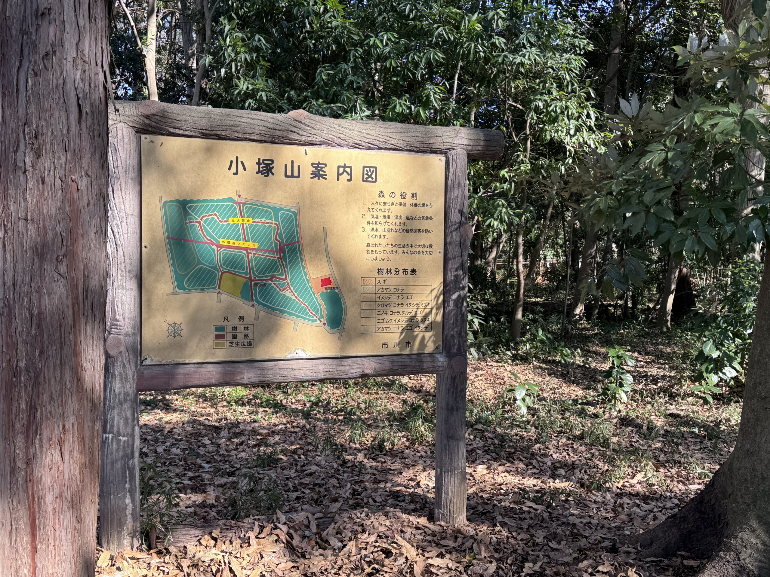 小塚山公園