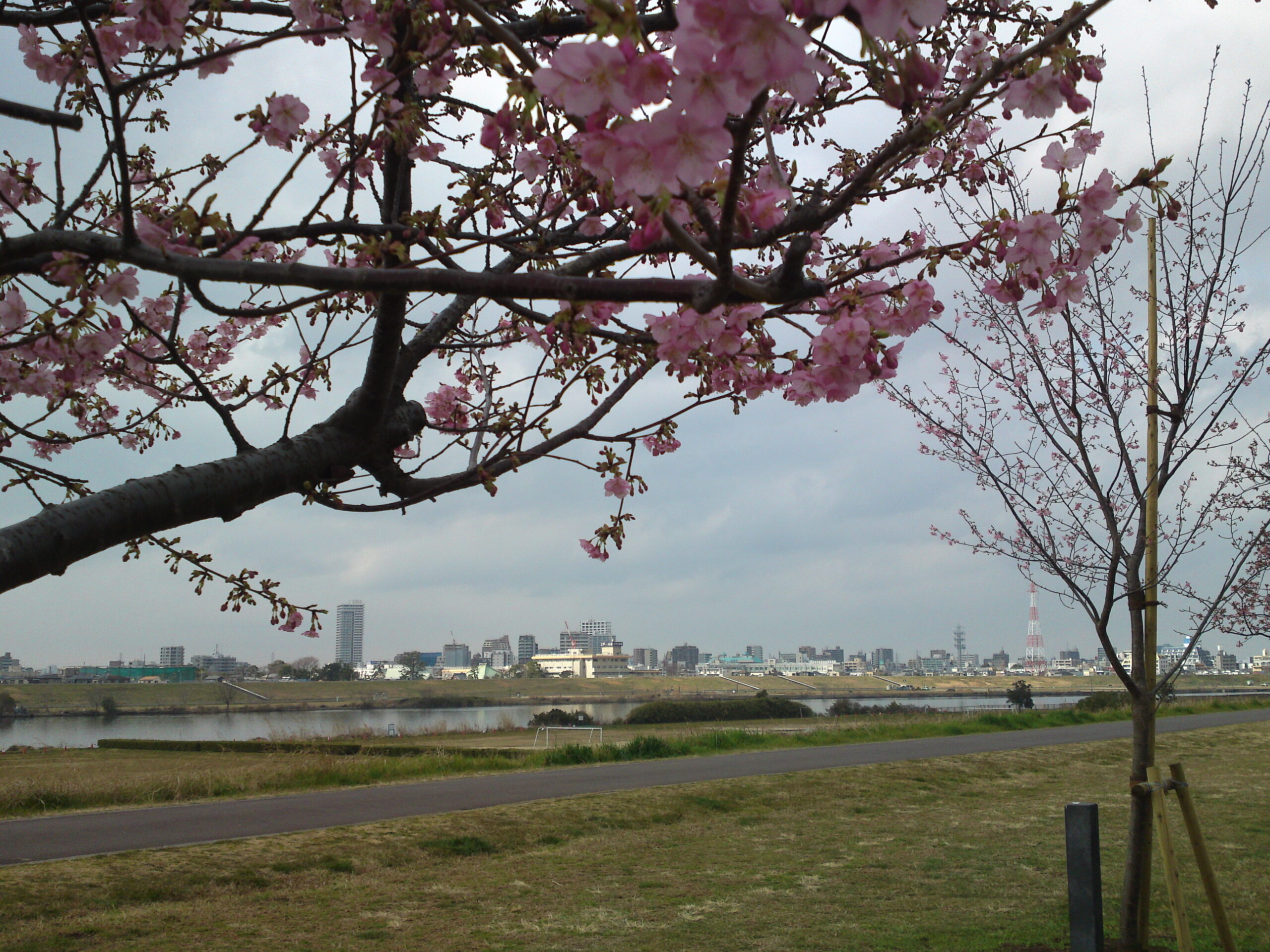 江戸川サイクリングロード