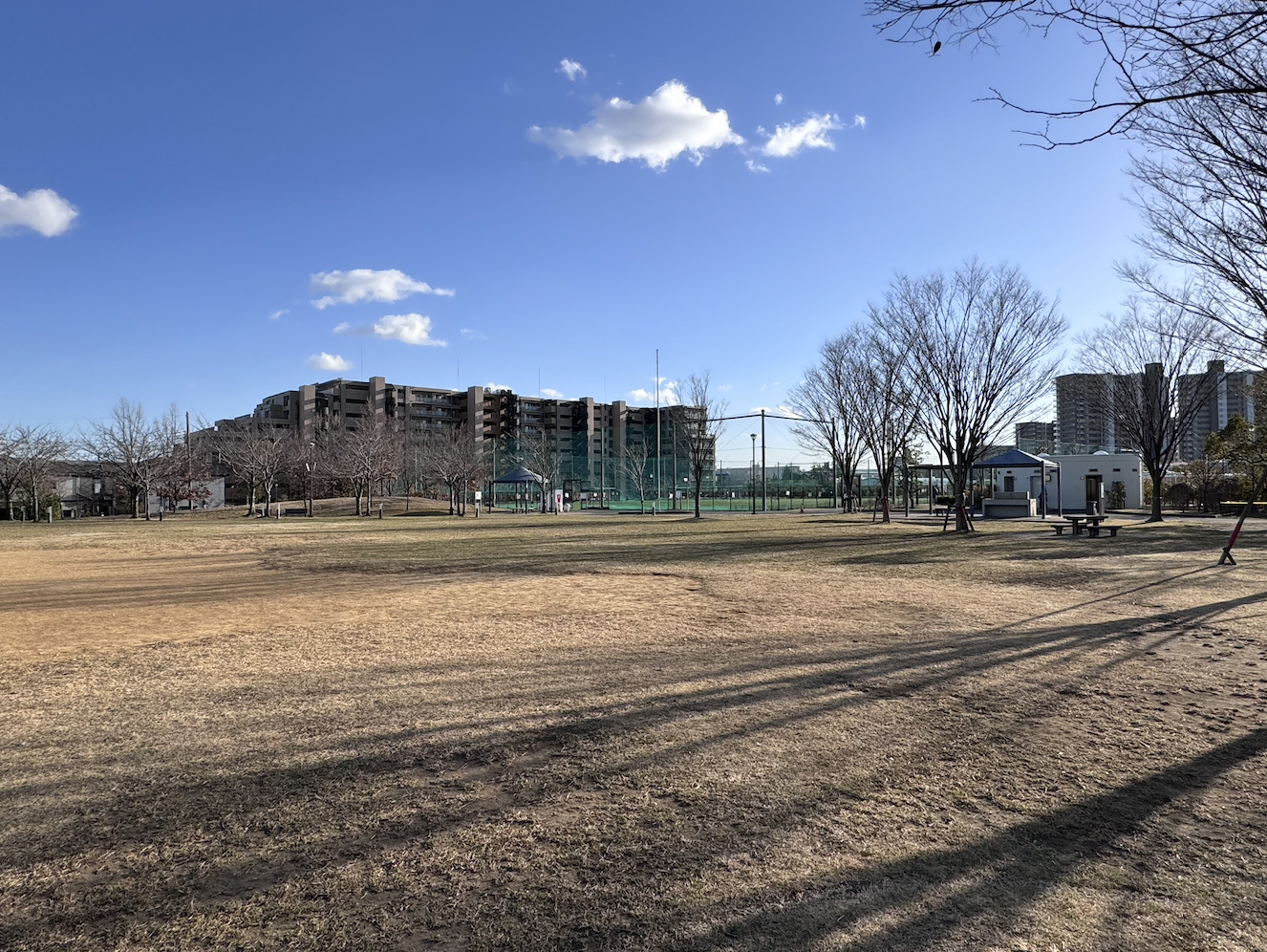 広尾防災公園 | 市川市観光協会