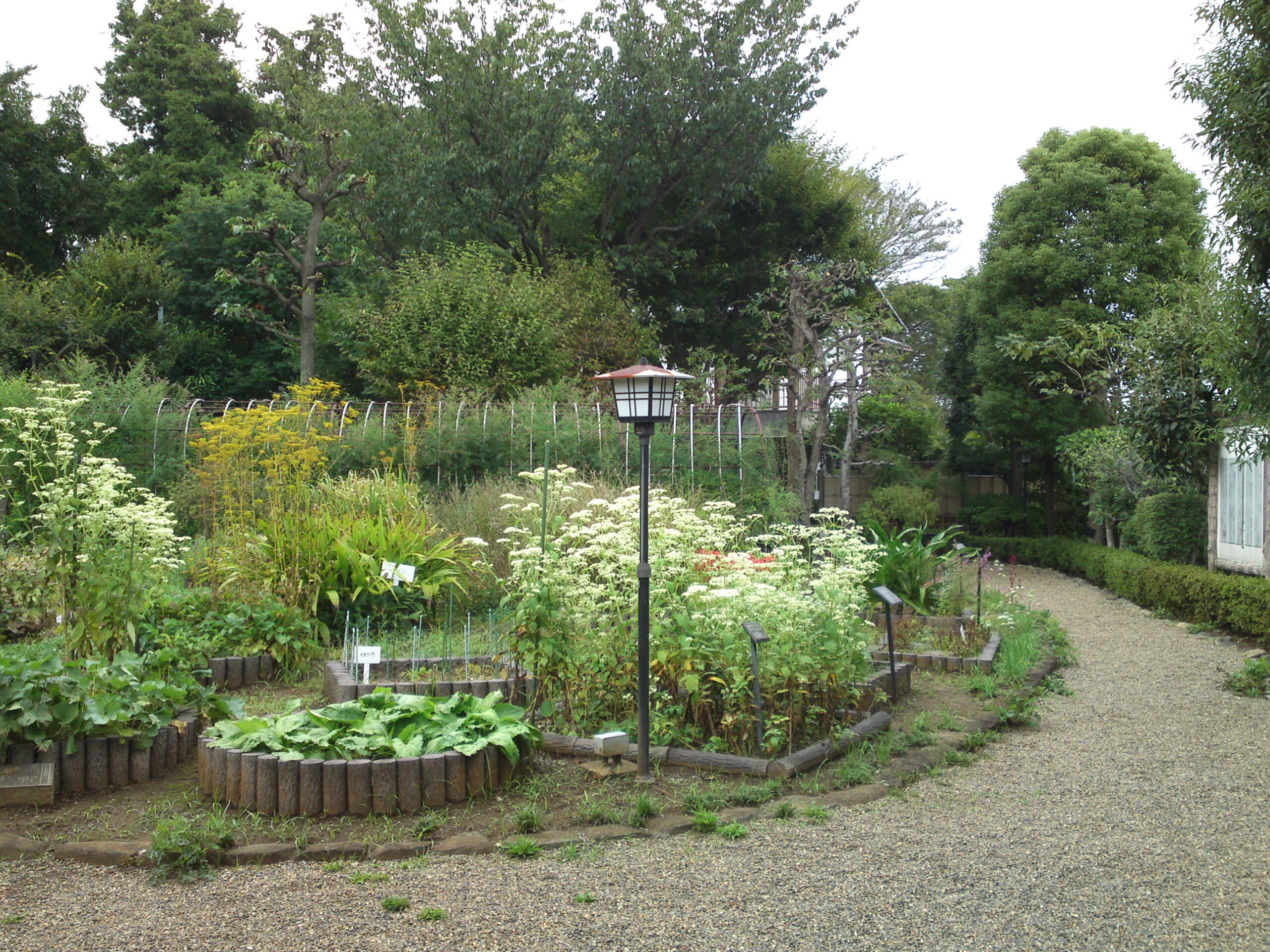 万葉植物園