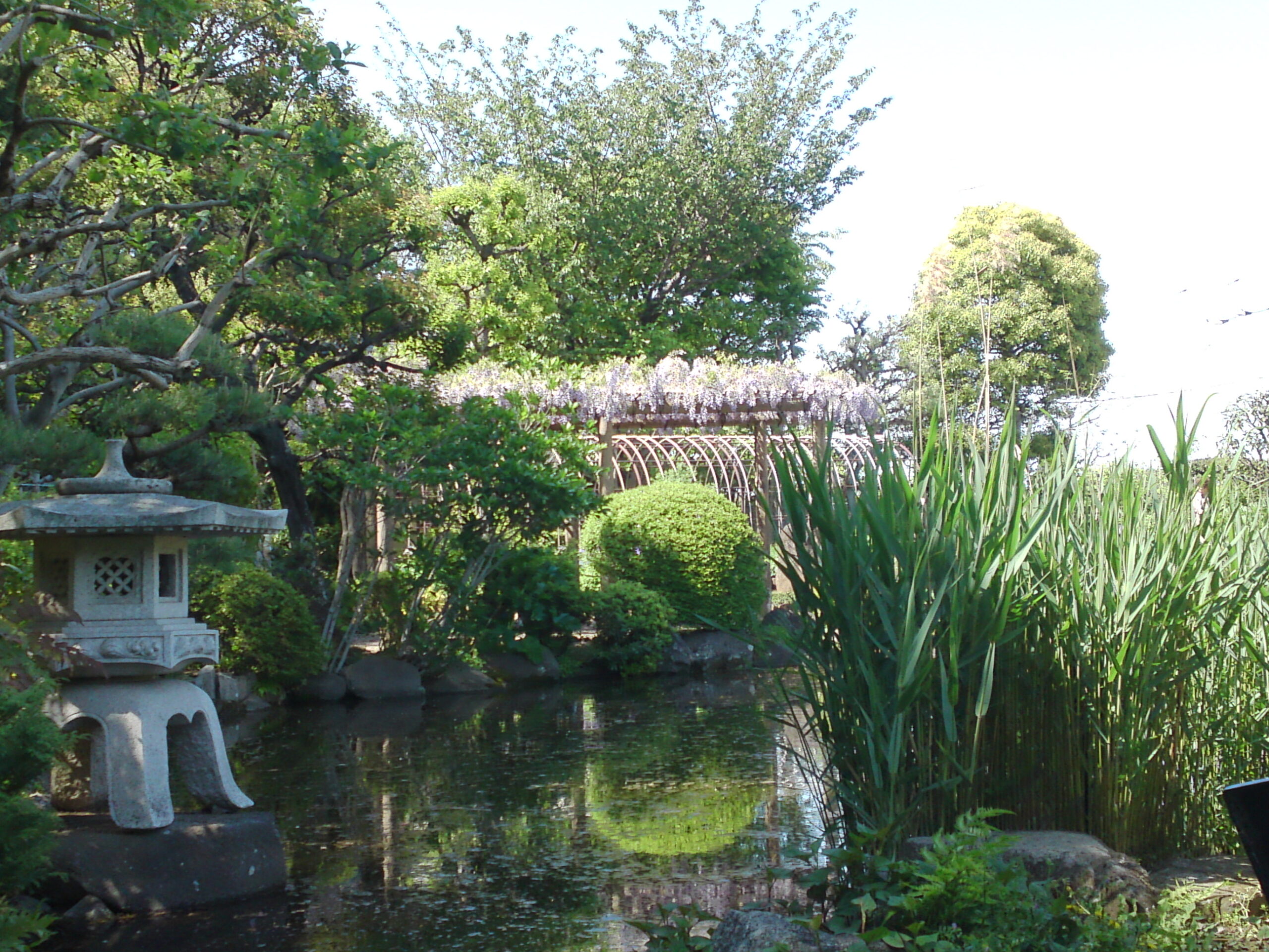 万葉植物園